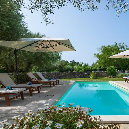 House 1993 Prázdninový dům *